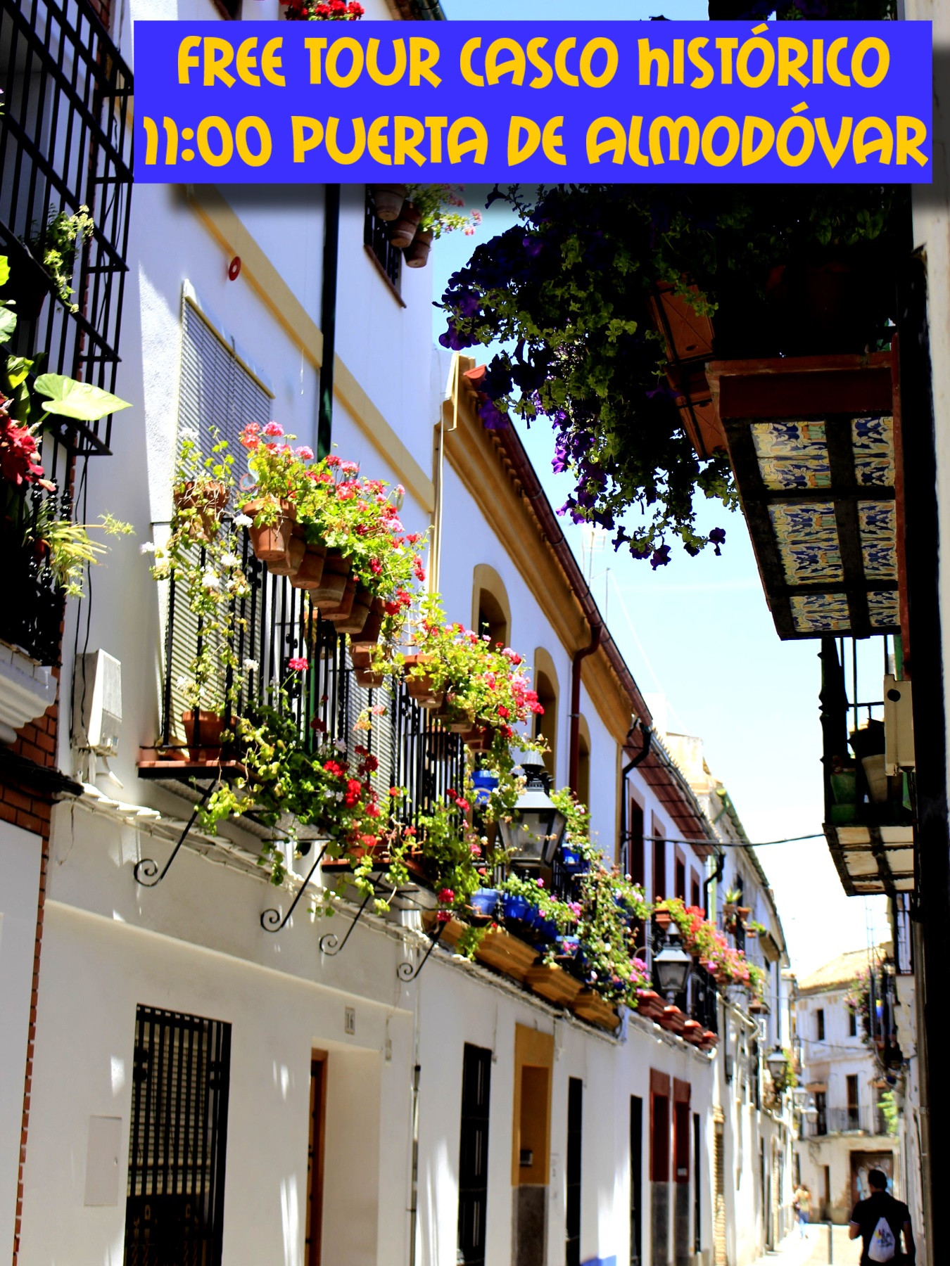 Free Tour del Casco Historico